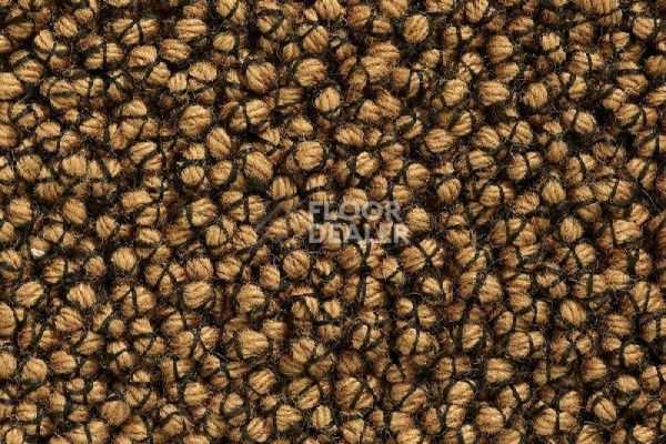 Ковролин Best Wool Nature Vivaldi I-AB Flavoured Ginger фото 1 | FLOORDEALER